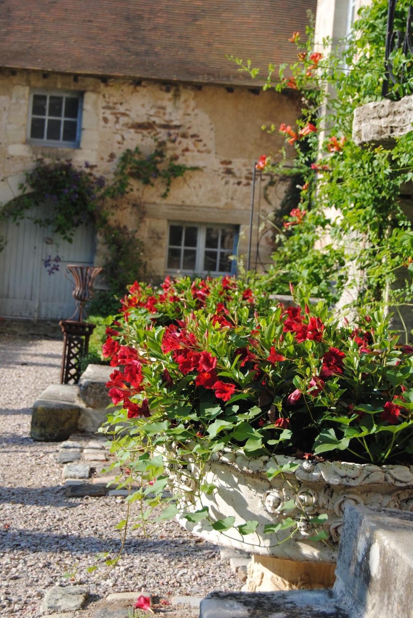 Chateau De Montchoisy Chezelle Exterior photo